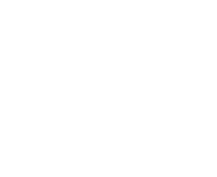 Logo Stadt Plauen